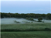 Green field with fog