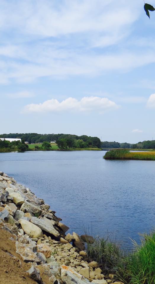 View of the lake near the rocks