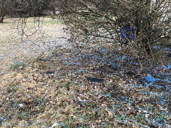 Pieces of Tarp From the James Briggs House